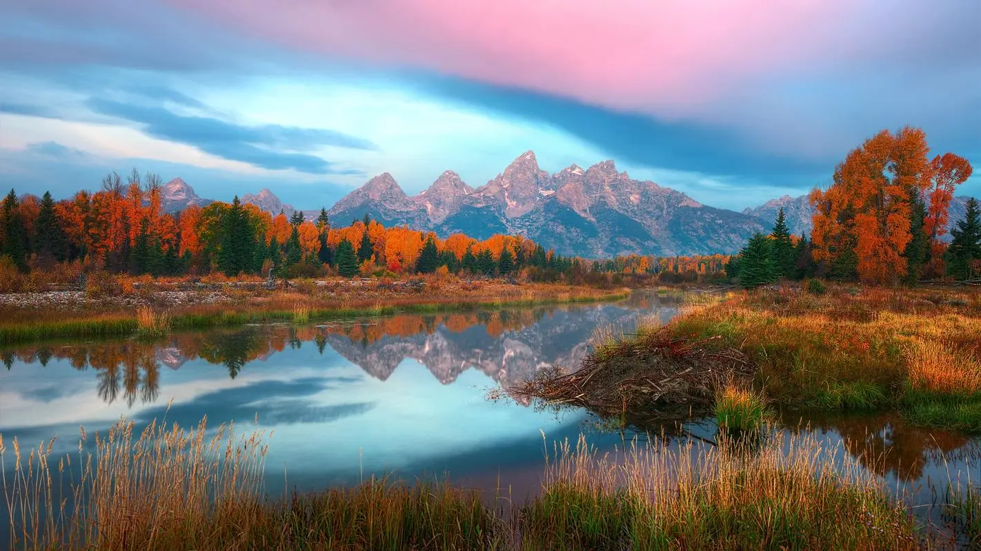 信息化无人化无人化